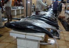 NEGOMBO FISH MARKET